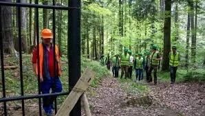 Primul complex pentru reabilitarea ursului brun se construiește la Brașov