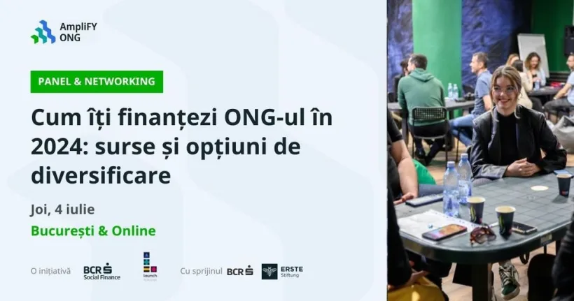 Cum îți finanțezi ONG-ul în 2024