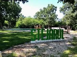 Piscina Stejarul - o oază de liniște și relaxare în mijlocul pădurii