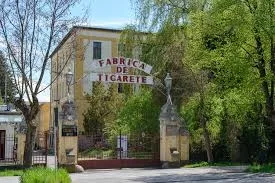 Trei expoziții excepționale marchează deschiderea Centrului de Proiecte Culturale Europene (C.P.C.E.) din Sfântu Gheorghe
