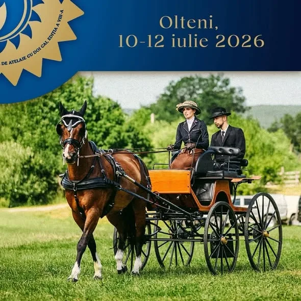 Olteni va deveni din nou centrul atelajelor!